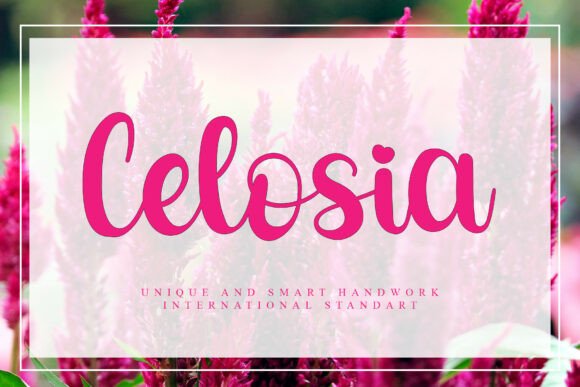 Celosia: A Font That Elevates Your Creative Projects