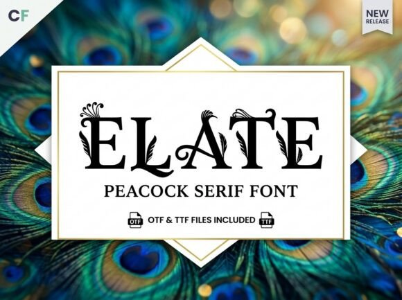 Mastering the Art of Typography: The Majestic Beauty of Elate